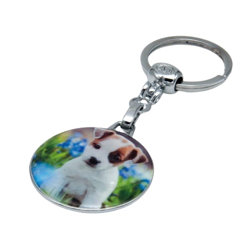 Key ring - DOG
