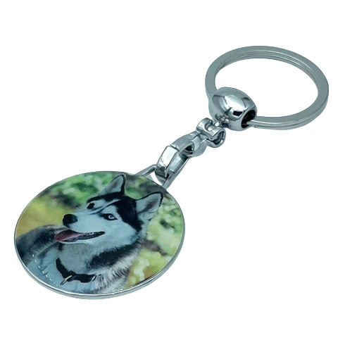 Key ring - HUSKY